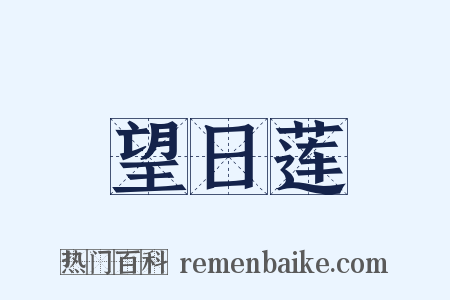 望日莲是什么意思的图片